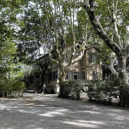 De La Treille - D'hotes * Avignon
