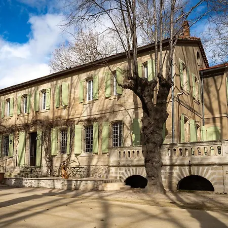 De La Treille - D'hotes * Avignon